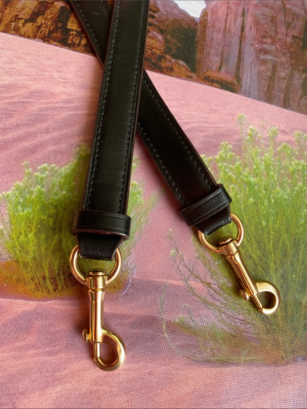 Coach Black Leather Strap with Gold Hardware